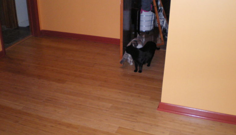 Bamboo Vs Laminate Flooring