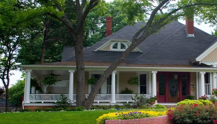 Tree Maintenance for Homeowners